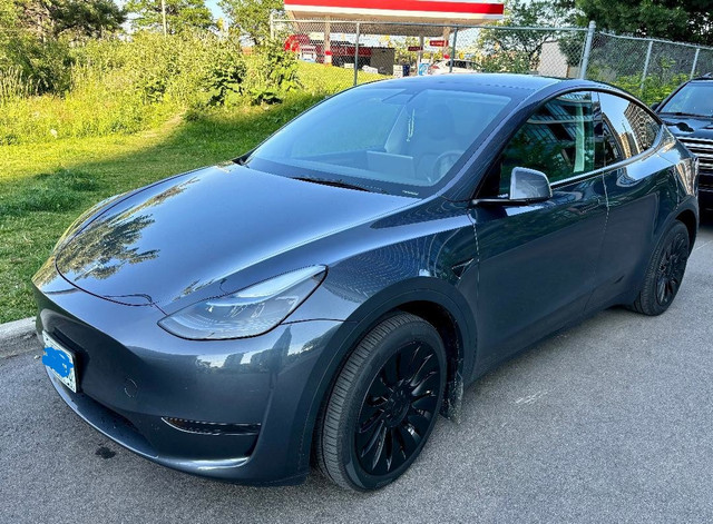 2023 Tesla Model Y Standard Range Immaculate very low mileage in Cars & Trucks in Mississauga / Peel Region