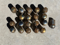 Lug Nuts - Set of 20 - USED