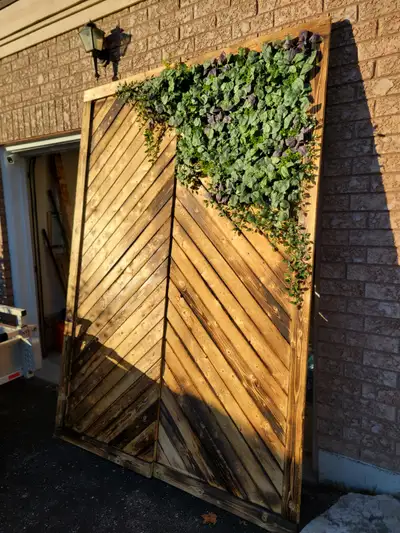 Wooden backdrop, View more