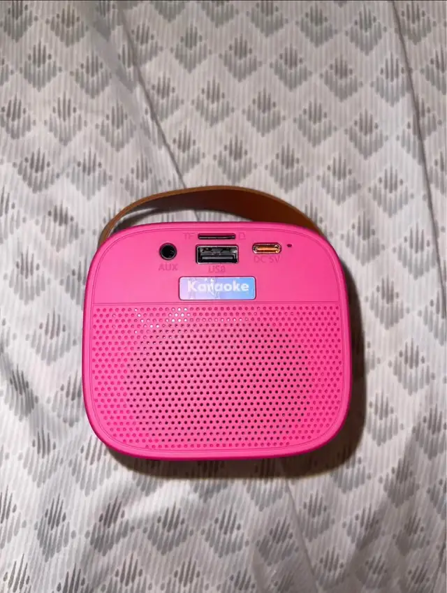 Karaoke Speaker in Speakers in Burnaby/New Westminster - Image 4