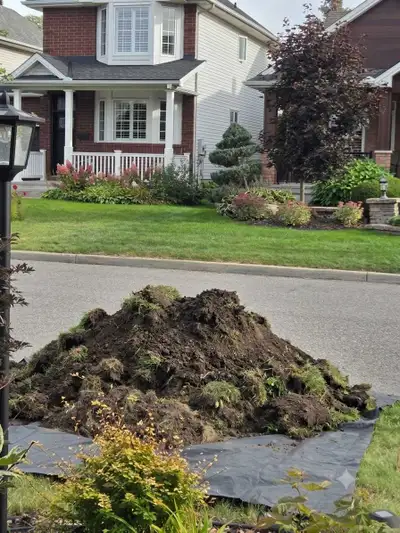 Free topsoil and grass pick up Free, View more