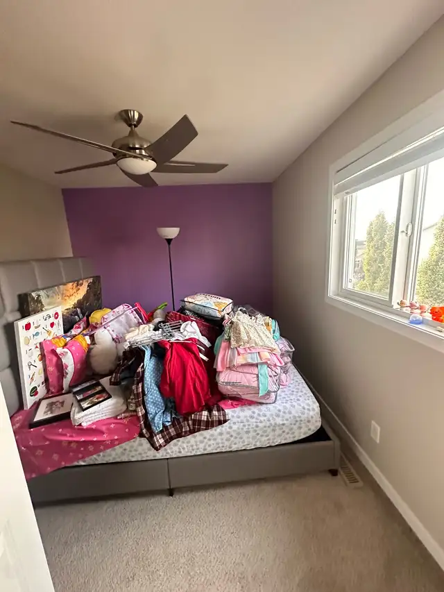 Professional Painter65561306569346124