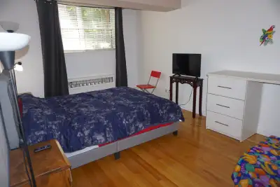À LOUER MONTRÉAL  Appart Meublé  795$/sem CDN Dispo dès 21 Juin, View more