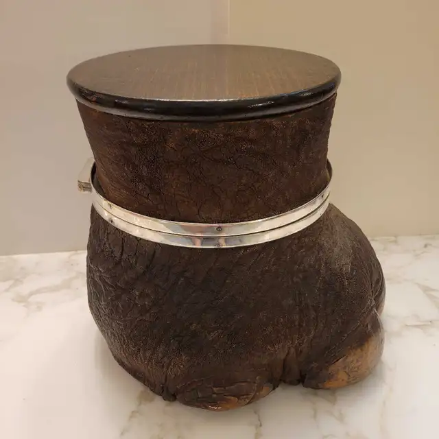 Antique taxidermy liqueur cabinet in Arts & Collectibles in City of Toronto - Image 5