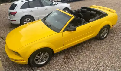 2005 Ford Mustang Convertible. V6, 4.0 Liter engine. Manual Transmission. 181,000 km. One owner, we...