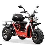 Daymak Boomer Beast 3 Wheel Electric Scooter 
