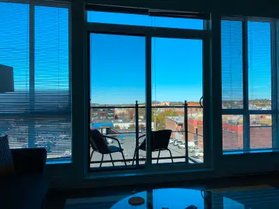 Bright quiet  top floor suite