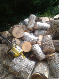 Firewood junking