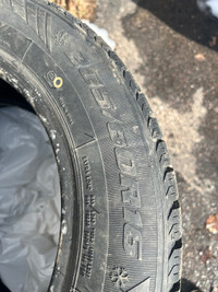 205/60R16 winter tires