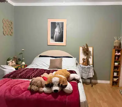 room for rent