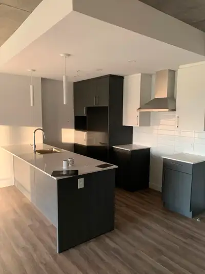 Premier mois gratuit ⭐️3 1/2 à louer St-Lambert-de-Lauzon