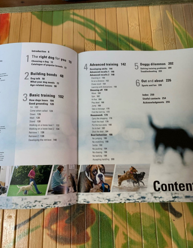 DK How to Train a Superdog Paperback Book in Non-fiction in Owen Sound - Image 2