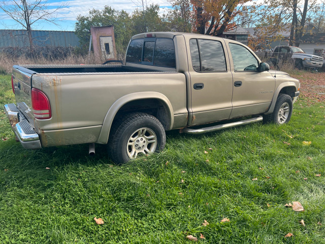 2001 dodge Dakota  in Cars & Trucks in Barrie