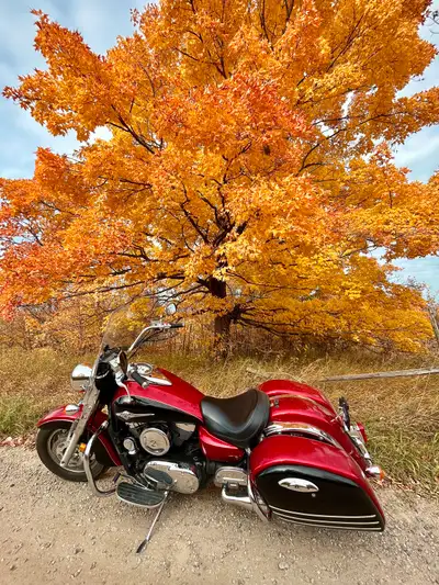 Very well maintained, super clean bike... Beautiful chrome, no rust anywhere, runs perfectly, sounds...