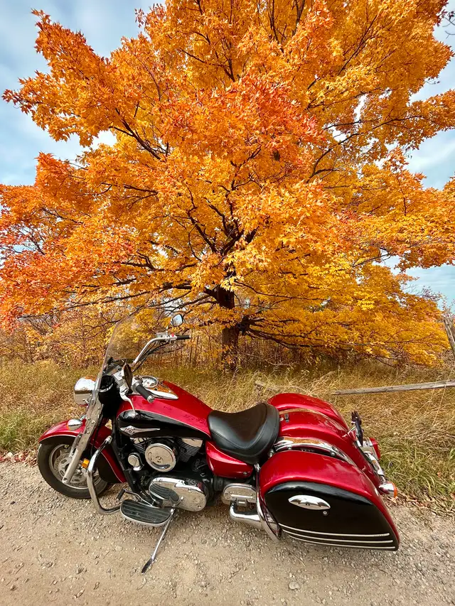 2008 Kawasaki Vulcan Nomad 1600 in Street, Cruisers & Choppers in Sudbury - Image 2