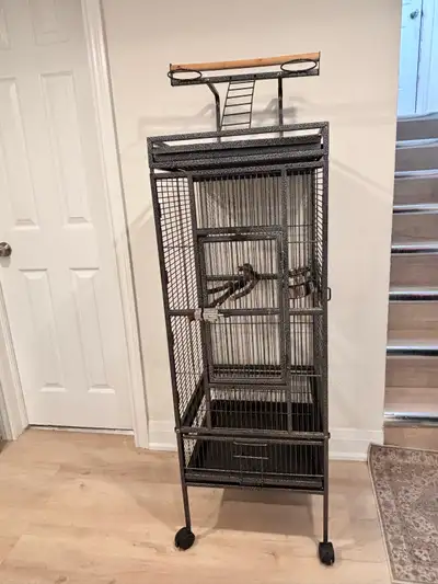 Large Wrought Iron Rolling Bird Cage, View more