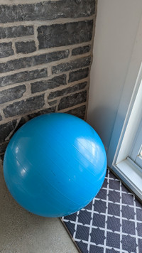Yoga ball with pump