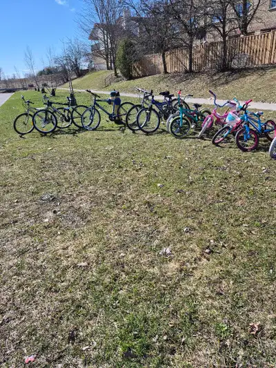 Price: the best offer and by negotiation, based on Kijiji pricing in separate advertising each bicyc...