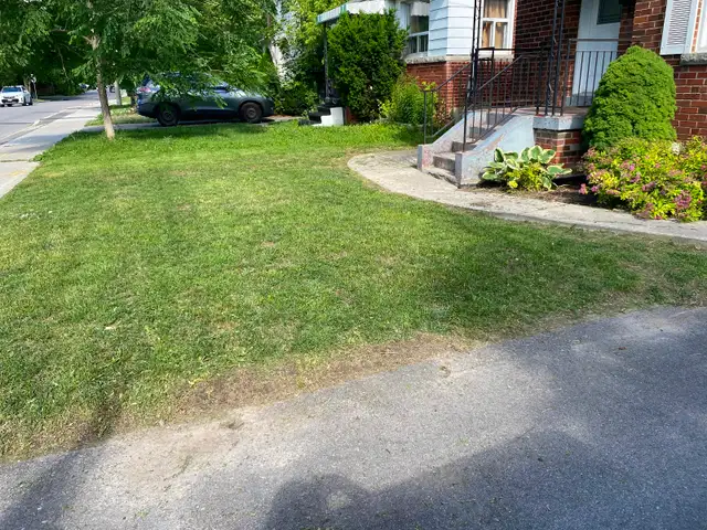 Gardening/landscaping & more call/text sameday 647-495-2658 in Lawn, Tree Maintenance & Eavestrough in City of Toronto - Image 9