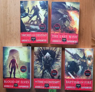 The Witcher books - 10$ each
