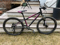 Kids 20” Mountain Bike