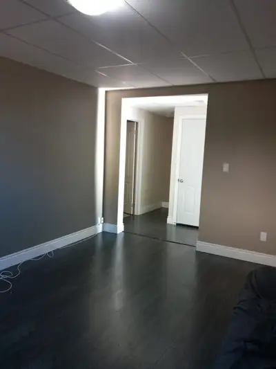 A well maintained, Spacious, finished walkout basement with 2 Bedrooms, living room, Kitchen and one...