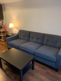 IKEA FRÖSLÖV Sofa, Hyllie Dark Gray with FREE NEW Table