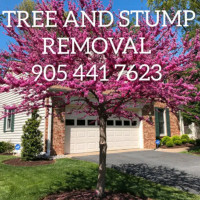 STUMPS,SHRUBS,TREE REMOVAL, DISPOSAL. 905-441-7623