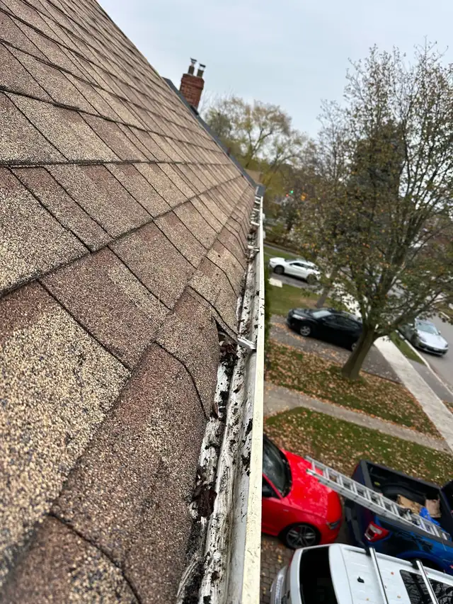 gutter  eavetrough cleaning420703560491356161