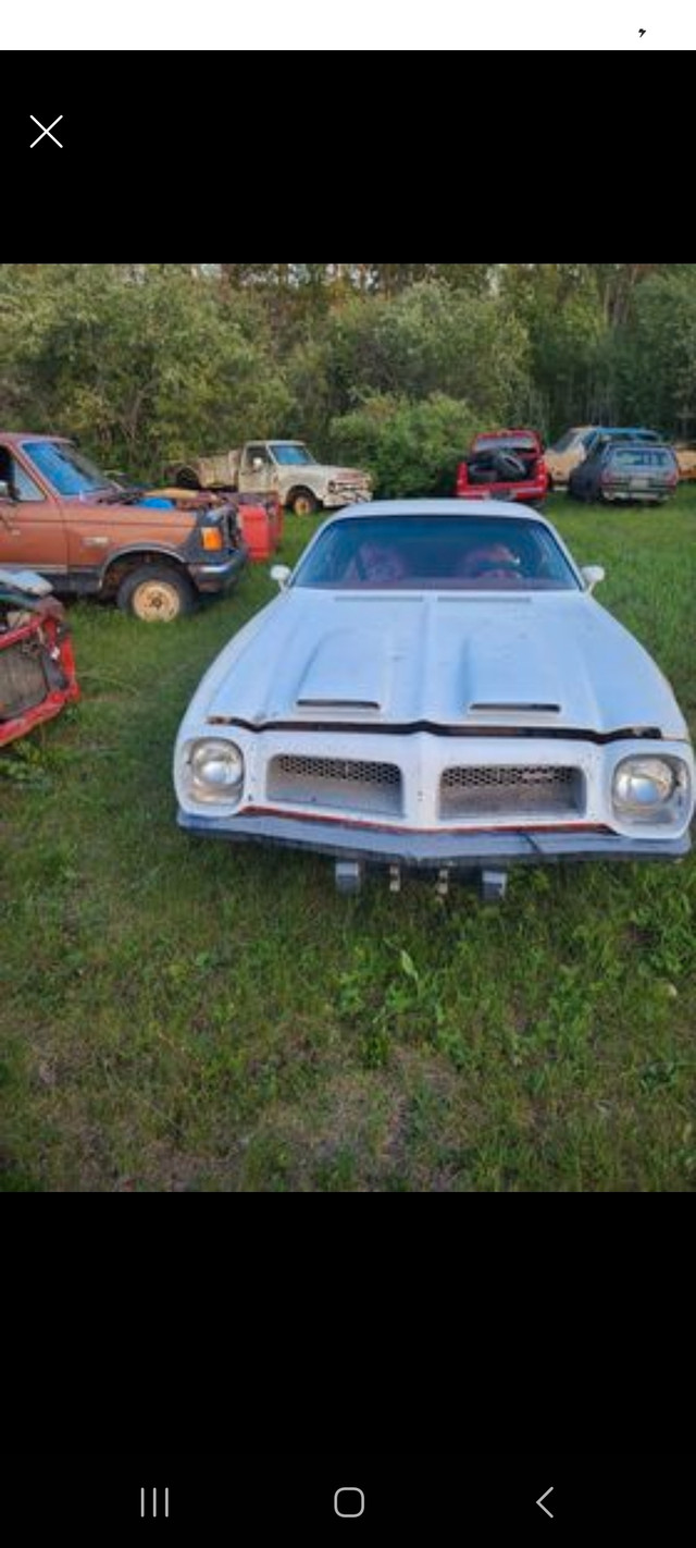 1980 Firebird for trade in Classic Cars in Nipawin - Image 3