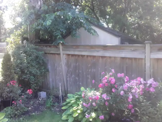 Handyman/eaves cleaning530755415893626882