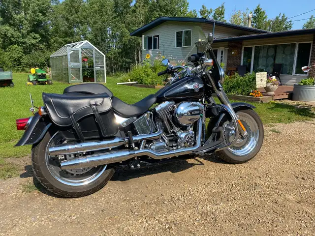 2016 Harley Davidson FATBOY in Street, Cruisers & Choppers in Edmonton - Image 7