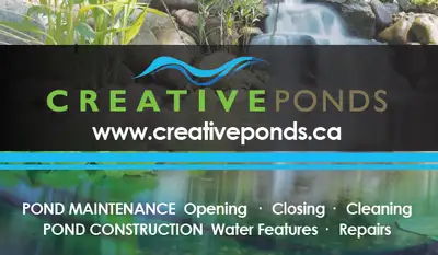 POND OPENING / CLEANING / CONSTRUCTION – BOOKING NOW !, View more