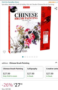Chinese Brush Painting Kit (Like New)