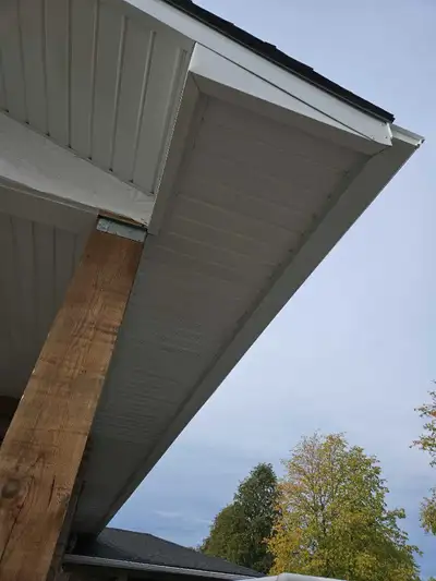 Providing professional gutter cleaning services in the Niagara region. Ensure your gutters are free...