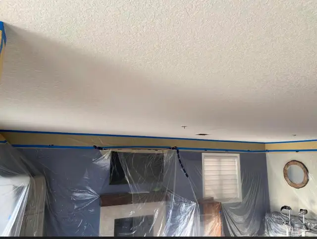Texture ceilings 461889800168417282