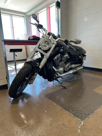 2011 Harley Davidson Vrod Muscle