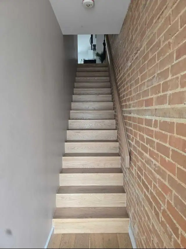 Cleaning Services521679486635878402
