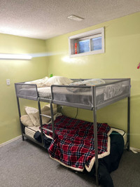 Basement Room for Rent near Humber College