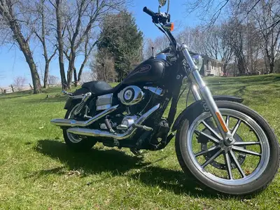 This great bike can be ridden bare or dressed with any combination of of quick release attachments....