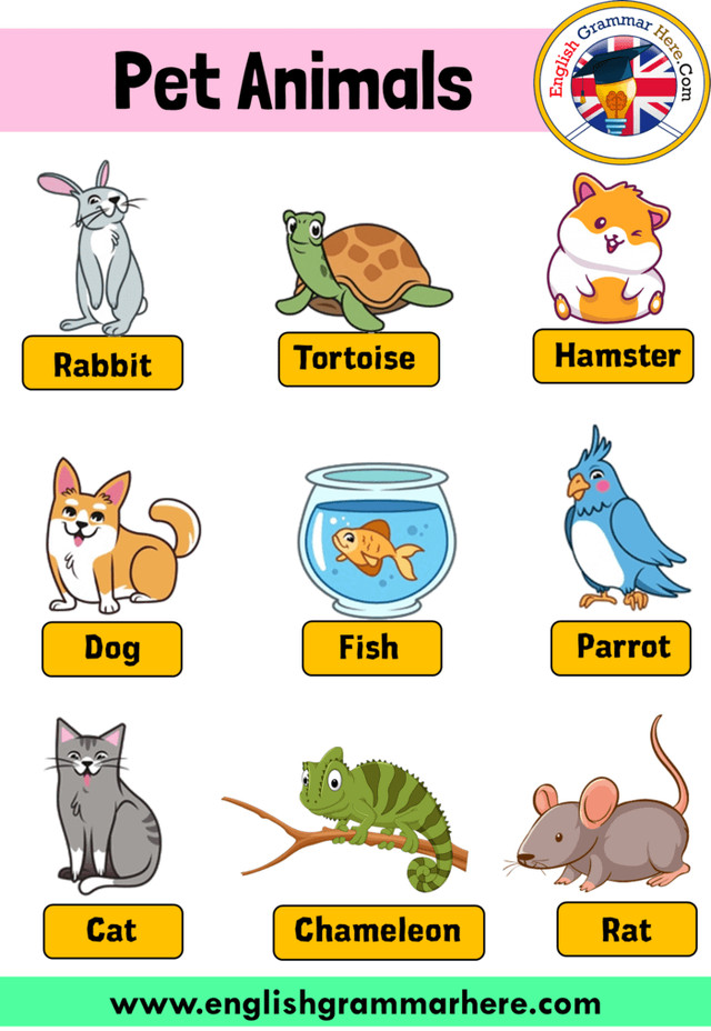 PET SITTER (MID TOWN TORONTO) (Toronto) in Animal & Pet Services in City of Toronto
