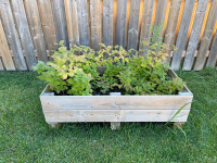 Raised garden bed/ planter