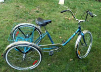Tricycle adulte 24"