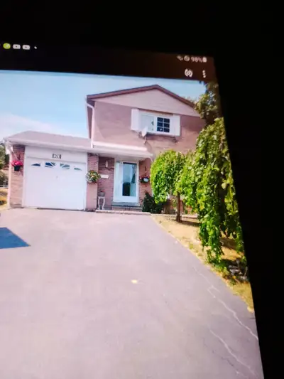 1 Bedroom unfurnished basement for Rent Available march ending or April 1st 2026 open concept living...