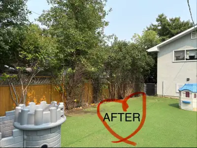 Affordable lawn care and Tree trimming, View more