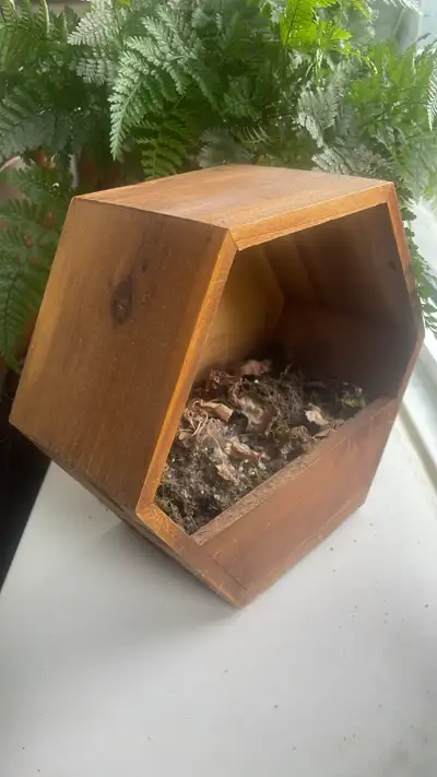 cute wooden planter nice on desk or shelve