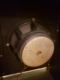 Speaker Electro-Voice 200W BlackShadow avec cabinet