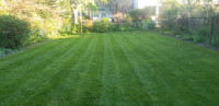 Spring Cleanups,  Grass Cutting, Lawn Maintenance and more