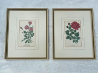 Pair of Victorian-Era Botanical Lithographs (framed, with COA)