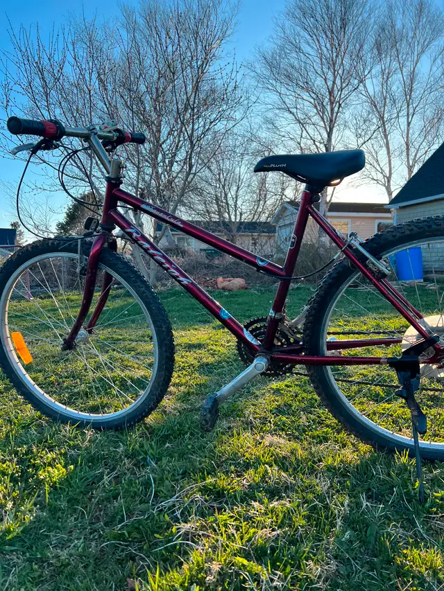 2 Raleigh bikes in Other in Charlottetown - Image 6